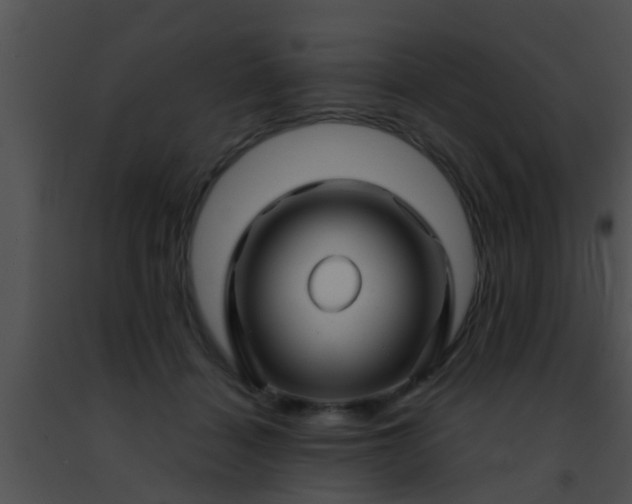 X0000091500460200708302002