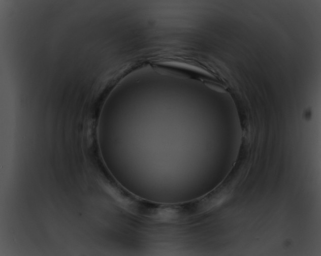 X0000091500462200708302002