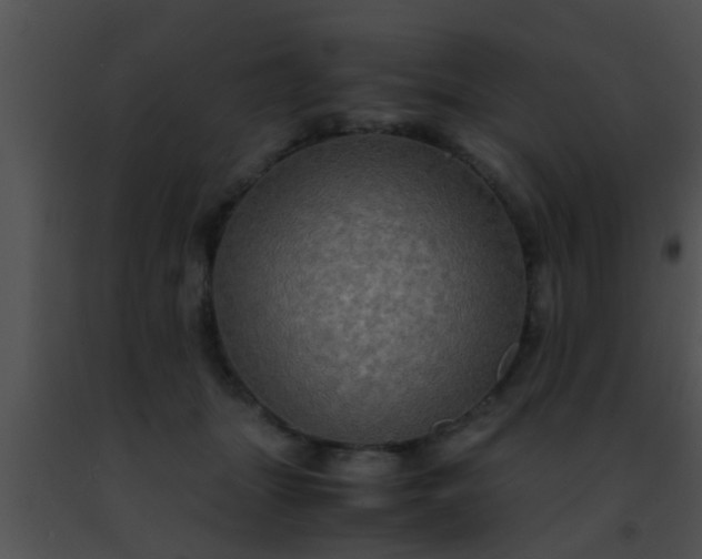 X0000091500463200708302002