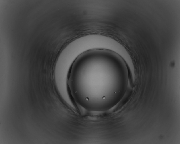 X0000091500464200708302002