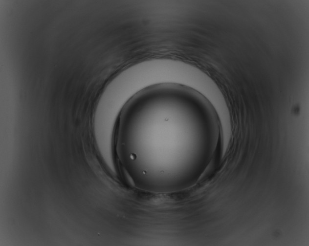 X0000091500468200708302002