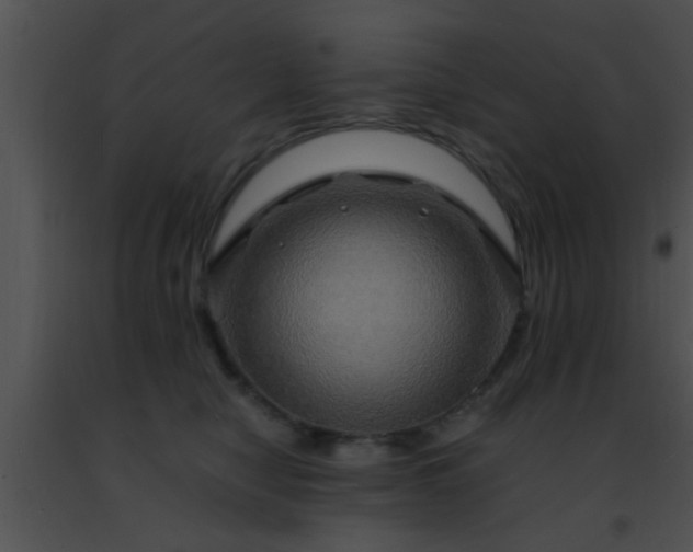 X0000091500470200708302002