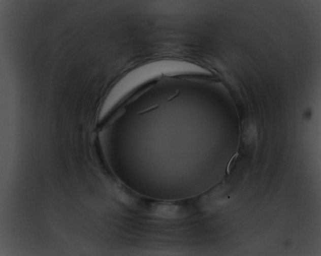 X0000091500471200708302002