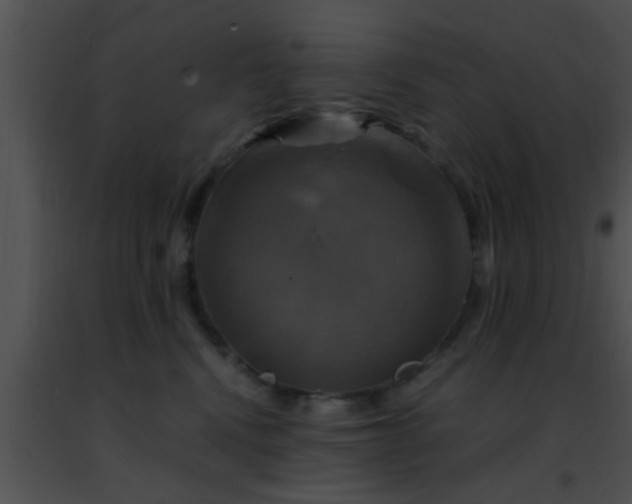 X0000091500472200708302002