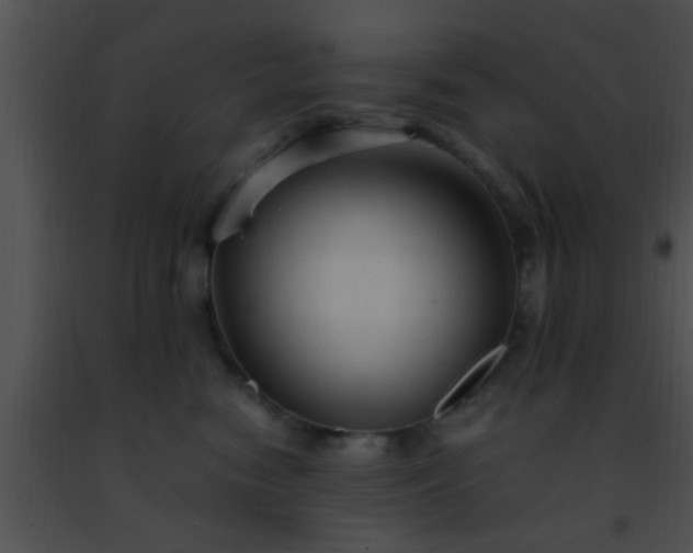 X0000091500474200708302002