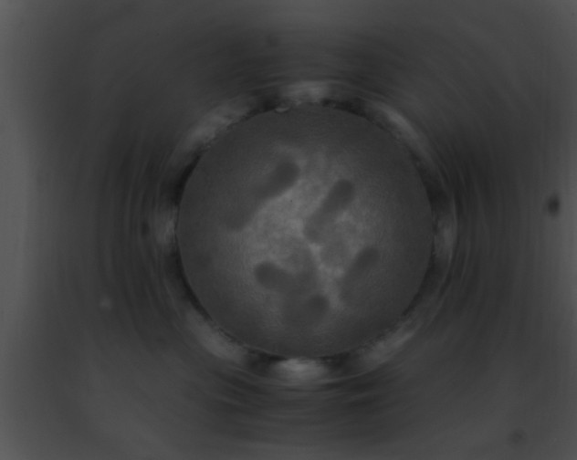 X0000091500477200708302002