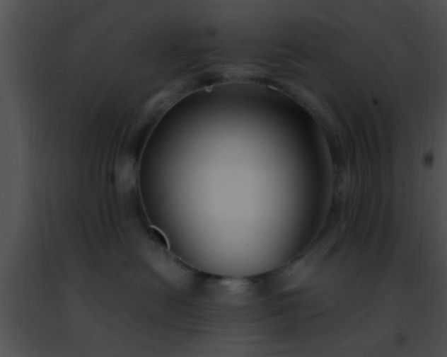 X0000091500478200708302002