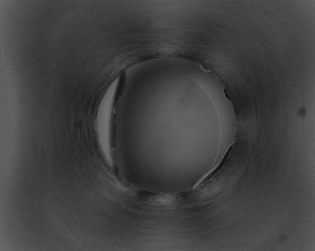 X0000091500479200708302002