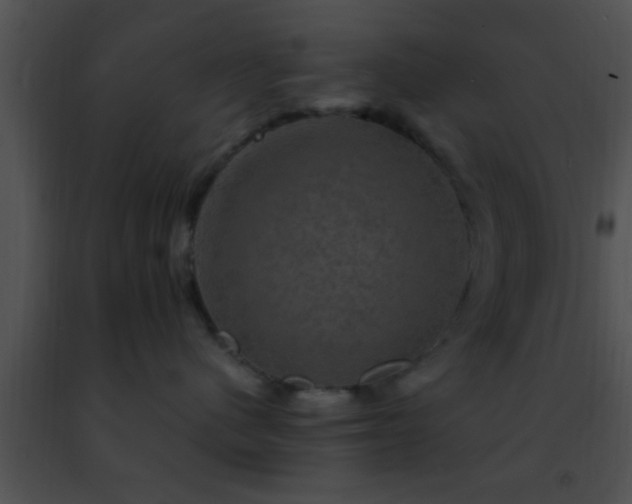 X0000091500480200708302002