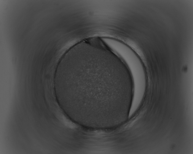 X0000091500481200708302001