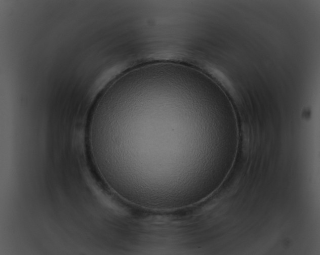 X0000091500482200708302001