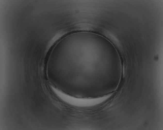 X0000091500483200708302001