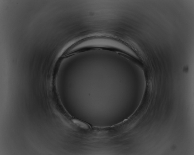 X0000091500484200708302001