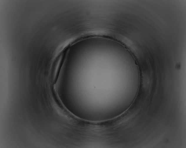 X0000091500486200708302001