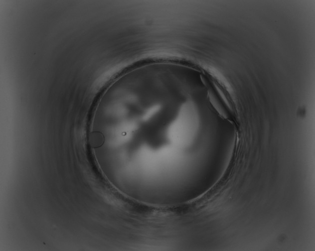 X0000091500487200708302001