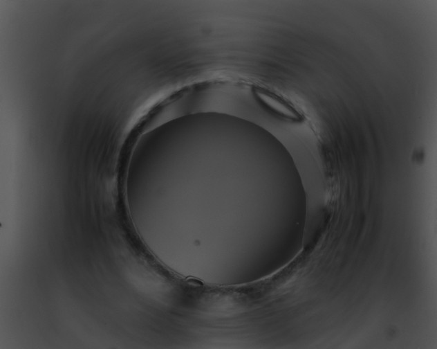 X0000091500488200708302001