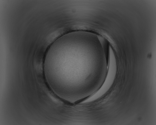 X0000091500489200708302001