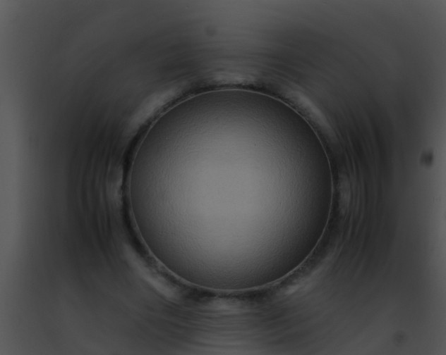 X0000091500490200708302001