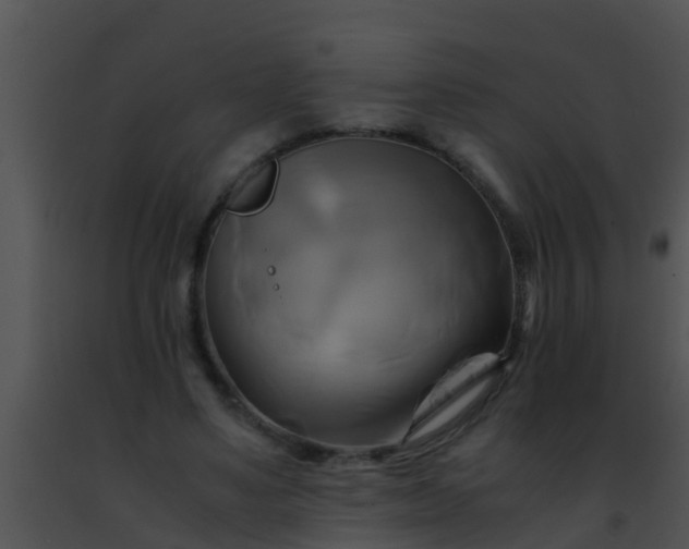 X0000091500491200708302001