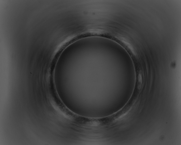 X0000091500492200708302001