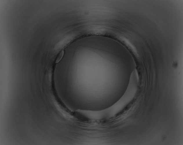 X0000091500493200708302001