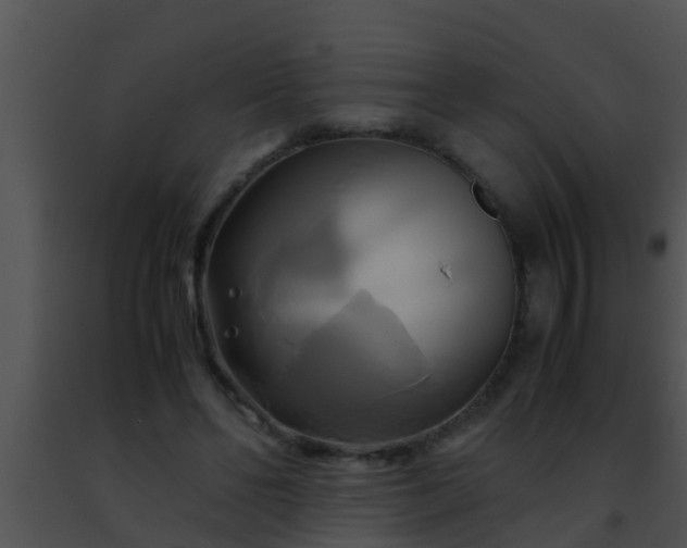 X0000091500494200708302001