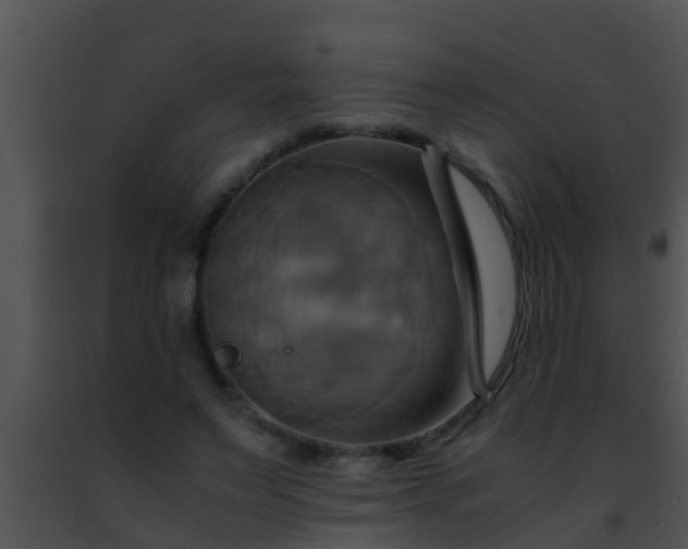 X0000091500495200708302001