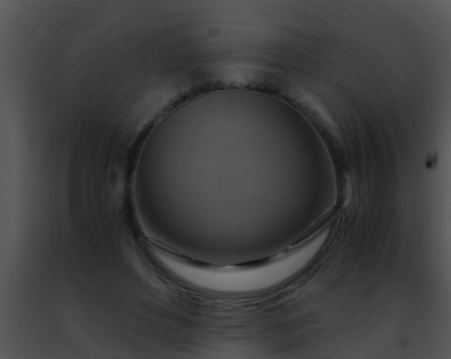 X0000091500496200708302001