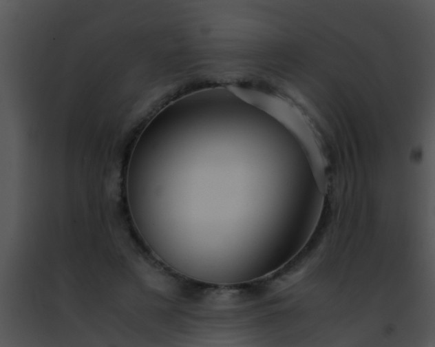 X0000091500497200708302001