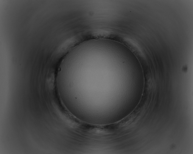 X0000091500498200708302001