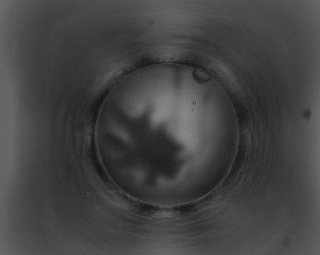 X0000091500499200708302001