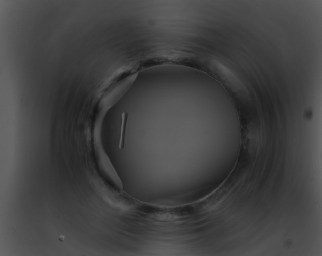 X0000091500500200708302001