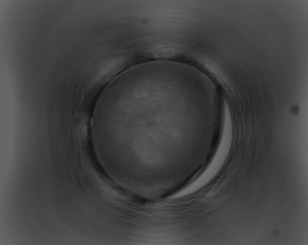 X0000091500501200708302001