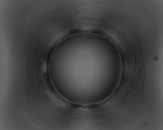 X0000091500502200708302001