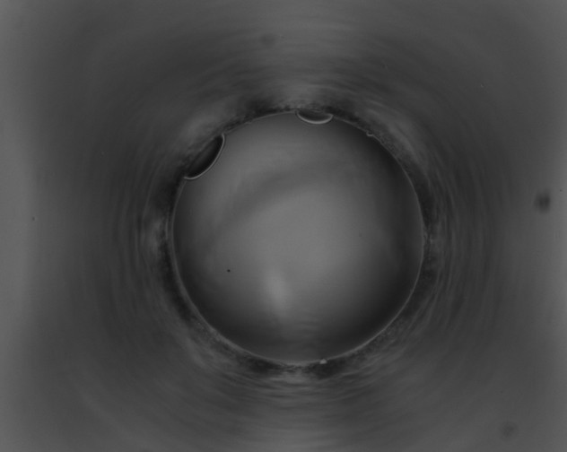 X0000091500503200708302001