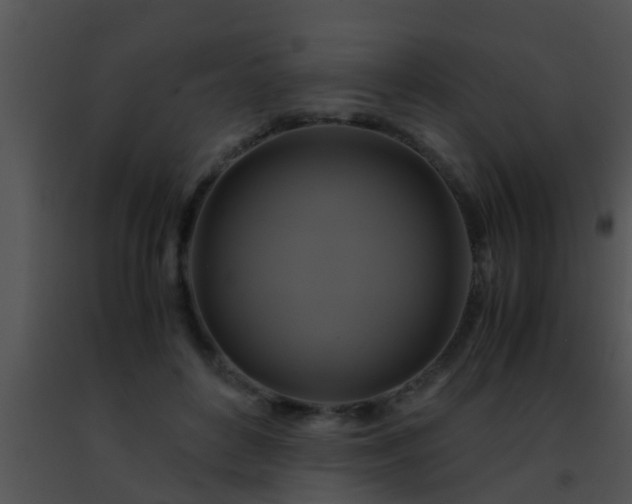 X0000091500504200708302001