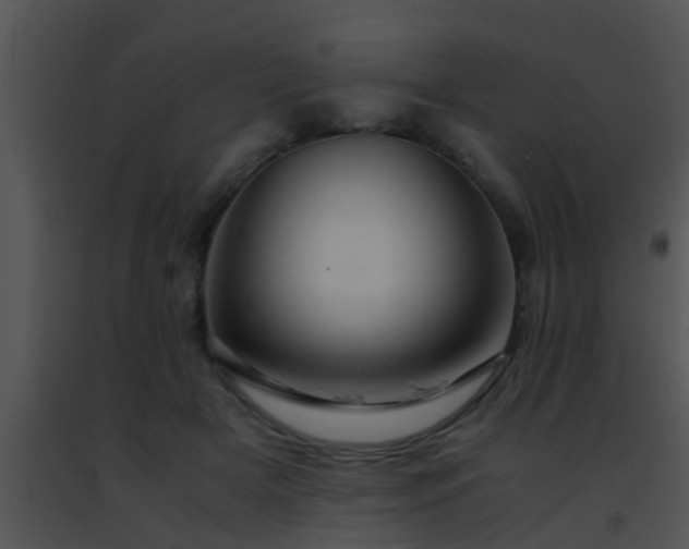 X0000091500505200708302001