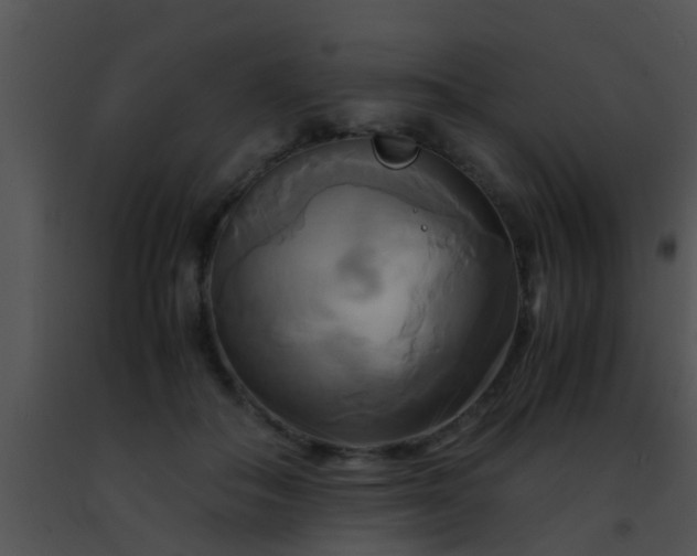 X0000091500506200708302001