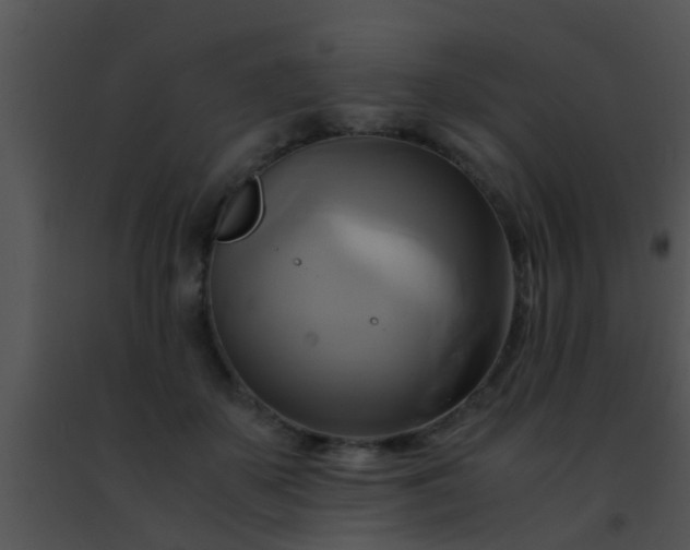 X0000091500507200708302001