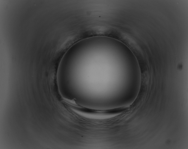 X0000091500509200708302001