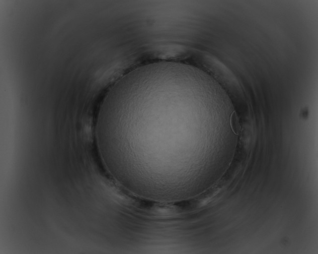 X0000091500510200708302001