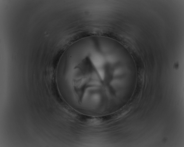 X0000091500511200708302001