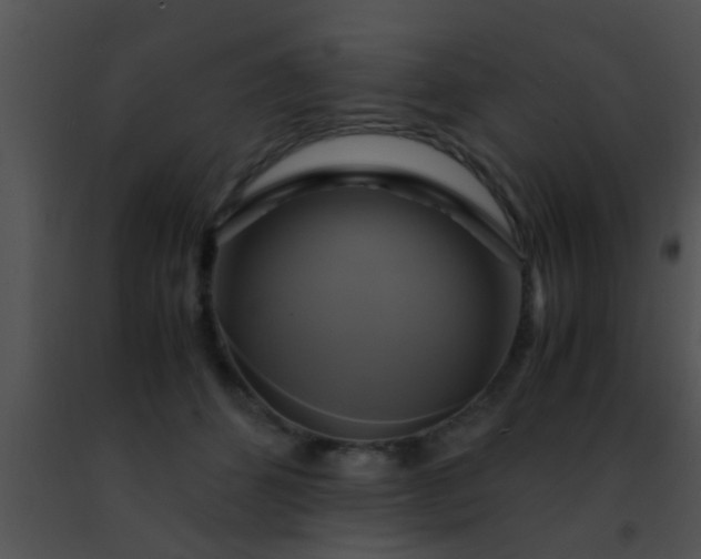 X0000091500512200708302001