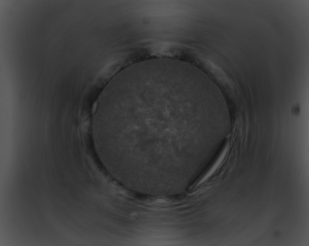 X0000091500513200708302001