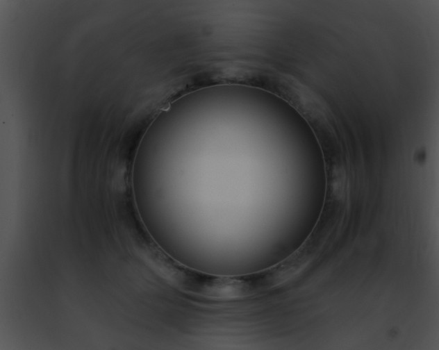 X0000091500514200708302001