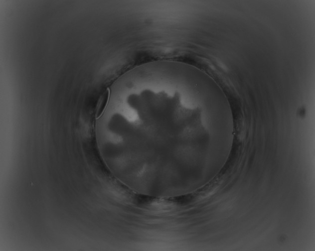 X0000091500515200708302001