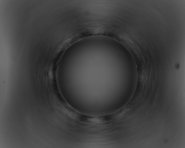 X0000091500516200708302001