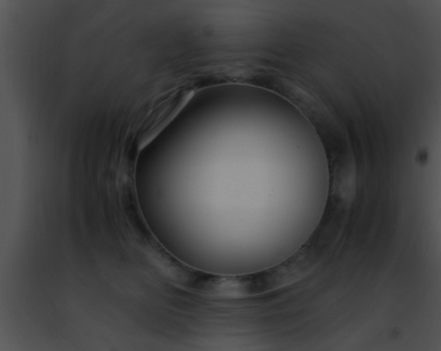 X0000091500518200708302001