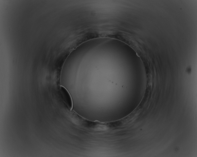 X0000091500519200708302000