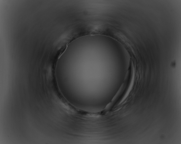 X0000091500520200708302000